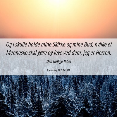 Picture 06 - 3 Mosebog 18:5 DA1871 - Og I skulle holde mine Skikke og mine Bud, hvilke - Bible Verse Picture
