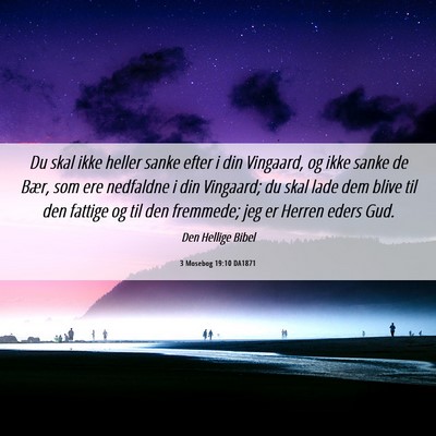 Picture 06 - 3 Mosebog 19:10 DA1871 - Du skal ikke heller sanke efter i din Vingaard, - Bible Verse Picture