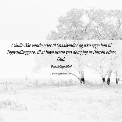 Picture 06 - 3 Mosebog 19:31 DA1871 - I skulle ikke vende eder til Spaakvinder og ikke - Bible Verse Picture