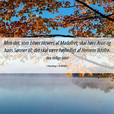 Picture 06 - 3 Mosebog 2:10 DA1871 - Men det, som bliver tilovers af Madofret, skal - Bible Verse Picture