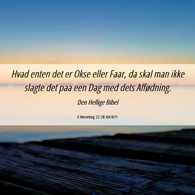 Picture 06 - 3 Mosebog 22:28 DA1871 - Hvad enten det er Okse eller Faar, da skal man - Bible Verse Picture