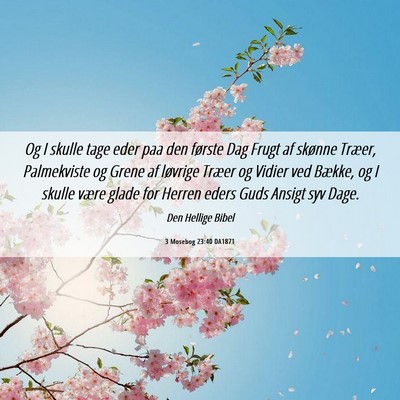 Picture 06 - 3 Mosebog 23:40 DA1871 - Og I skulle tage eder paa den første Dag Frugt - Bible Verse Picture
