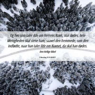 Picture 06 - 3 Mosebog 24:16 DA1871 - Og hvo som taler ilde om Herrens Navn, skal - Bible Verse Picture