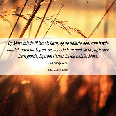 Picture 06 - 3 Mosebog 24:23 DA1871 - Og Mose talede til Israels Børn, og de udførte - Bible Verse Picture