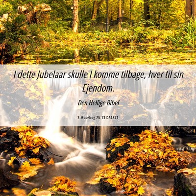 Picture 06 - 3 Mosebog 25:13 DA1871 - I dette Jubelaar skulle I komme tilbage, hver til - Bible Verse Picture
