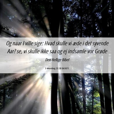 Picture 06 - 3 Mosebog 25:20 DA1871 - Og naar I ville sige: Hvad skulle vi æde i det - Bible Verse Picture