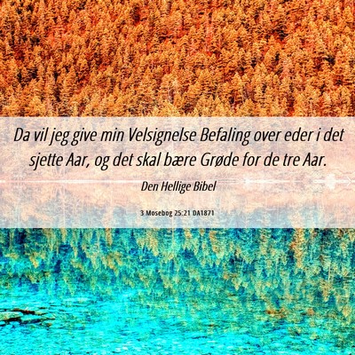 Picture 06 - 3 Mosebog 25:21 DA1871 - Da vil jeg give min Velsignelse Befaling over - Bible Verse Picture