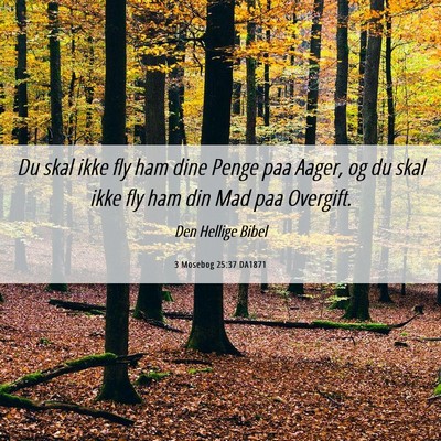 Picture 06 - 3 Mosebog 25:37 DA1871 - Du skal ikke fly ham dine Penge paa Aager, og du - Bible Verse Picture