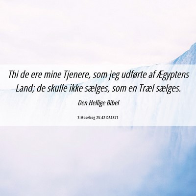 Picture 06 - 3 Mosebog 25:42 DA1871 - Thi de ere mine Tjenere, som jeg udførte af - Bible Verse Picture