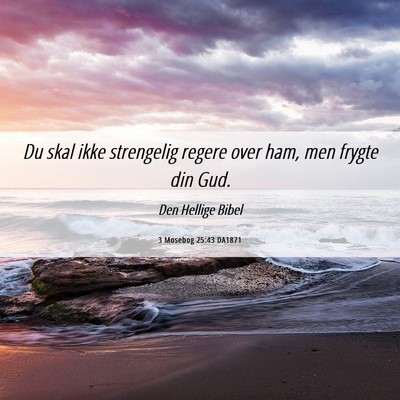 Picture 06 - 3 Mosebog 25:43 DA1871 - Du skal ikke strengelig regere over ham, men - Bible Verse Picture