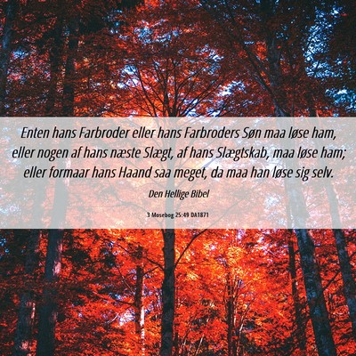 Picture 06 - 3 Mosebog 25:49 DA1871 - Enten hans Farbroder eller hans Farbroders Søn - Bible Verse Picture