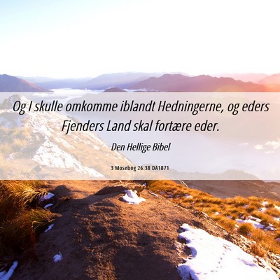 Picture 06 - 3 Mosebog 26:38 DA1871 - Og I skulle omkomme iblandt Hedningerne, og eders - Bible Verse Picture