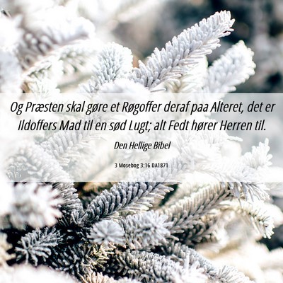 Picture 06 - 3 Mosebog 3:16 DA1871 - Og Præsten skal gøre et Røgoffer deraf paa - Bible Verse Picture