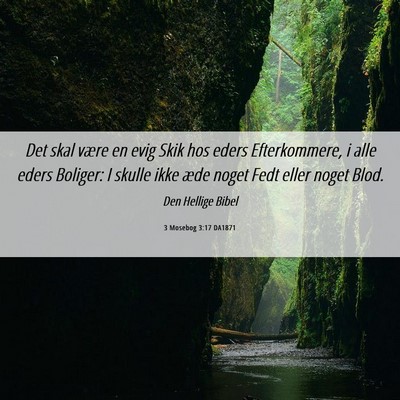 Picture 06 - 3 Mosebog 3:17 DA1871 - Det skal være en evig Skik hos eders - Bible Verse Picture