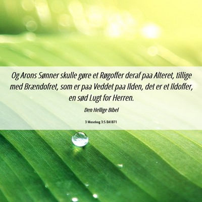 Picture 06 - 3 Mosebog 3:5 DA1871 - Og Arons Sønner skulle gøre et Røgoffer deraf - Bible Verse Picture