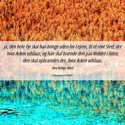 Picture 06 - 3 Mosebog 4:12 DA1871 - ja, den hele Tyr skal han bringe uden for Lejren, - Bible Verse Picture