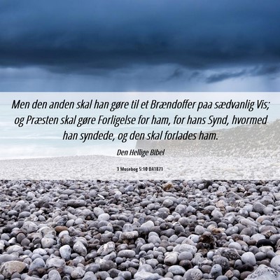 Picture 06 - 3 Mosebog 5:10 DA1871 - Men den anden skal han gøre til et Brændoffer - Bible Verse Picture