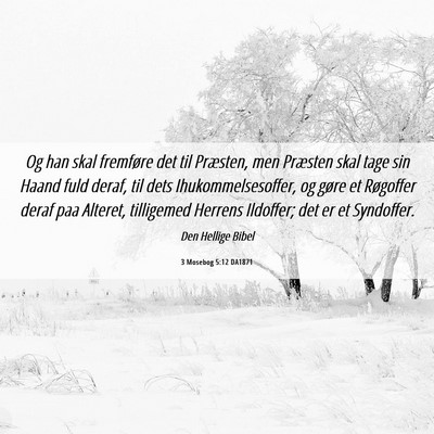 Picture 06 - 3 Mosebog 5:12 DA1871 - Og han skal fremføre det til Præsten, men - Bible Verse Picture