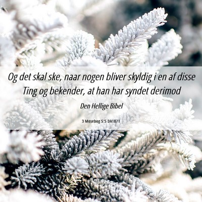 Picture 06 - 3 Mosebog 5:5 DA1871 - Og det skal ske, naar nogen bliver skyldig i en - Bible Verse Picture