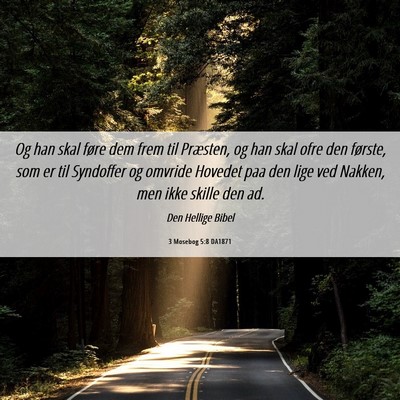 Picture 06 - 3 Mosebog 5:8 DA1871 - Og han skal føre dem frem til Præsten, og han - Bible Verse Picture