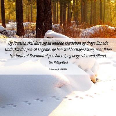 Picture 06 - 3 Mosebog 6:3 DA1871 - Og Præsten skal iføre sig sit linnede Klædebon - Bible Verse Picture
