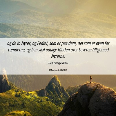 Picture 06 - 3 Mosebog 7:4 DA1871 - og de to Nyrer, og Fedtet, som er paa dem, det - Bible Verse Picture