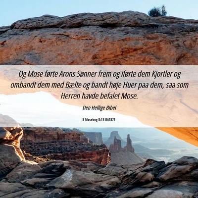 Picture 06 - 3 Mosebog 8:13 DA1871 - Og Mose førte Arons Sønner frem og iførte dem - Bible Verse Picture