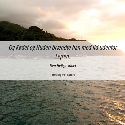 Picture 06 - 3 Mosebog 9:11 DA1871 - Og Kødet og Huden brændte han med Ild udenfor - Bible Verse Picture