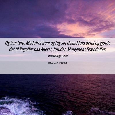 Picture 06 - 3 Mosebog 9:17 DA1871 - Og han førte Madofret frem og tog sin Haand fuld - Bible Verse Picture