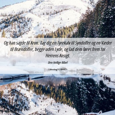 Picture 06 - 3 Mosebog 9:2 DA1871 - Og han sagde til Aron: Tag dig en Tyrekalv til - Bible Verse Picture