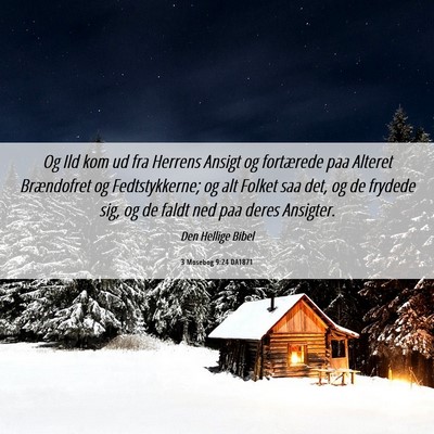 Picture 06 - 3 Mosebog 9:24 DA1871 - Og Ild kom ud fra Herrens Ansigt og fortærede - Bible Verse Picture