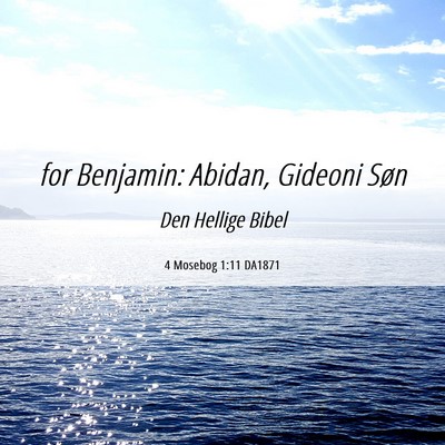 Picture 06 - 4 Mosebog 1:11 DA1871 - for Benjamin: Abidan, Gideoni - Bible Verse Picture