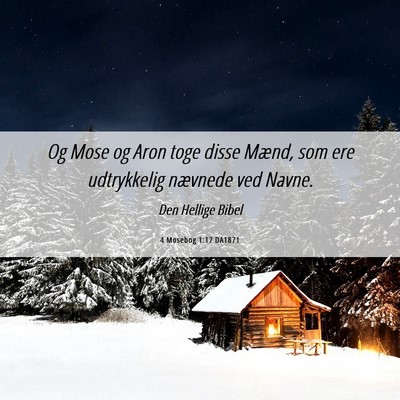 Picture 06 - 4 Mosebog 1:17 DA1871 - Og Mose og Aron toge disse Mænd, som ere - Bible Verse Picture