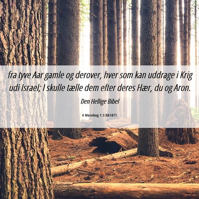 Picture 06 - 4 Mosebog 1:3 DA1871 - fra tyve Aar gamle og derover, hver som kan - Bible Verse Picture