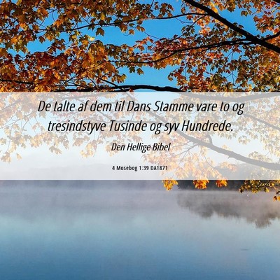 Picture 06 - 4 Mosebog 1:39 DA1871 - De talte af dem til Dans Stamme vare to og - Bible Verse Picture