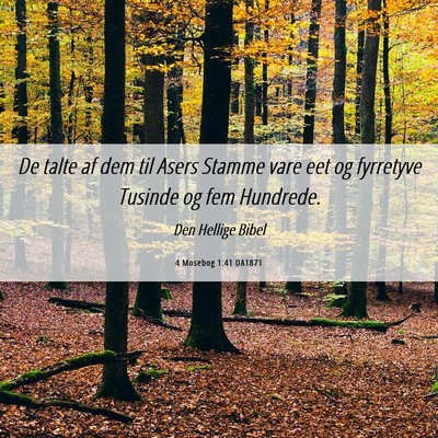 Picture 06 - 4 Mosebog 1:41 DA1871 - De talte af dem til Asers Stamme vare eet og - Bible Verse Picture