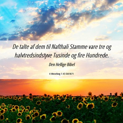 Picture 06 - 4 Mosebog 1:43 DA1871 - De talte af dem til Nafthali Stamme vare tre og - Bible Verse Picture