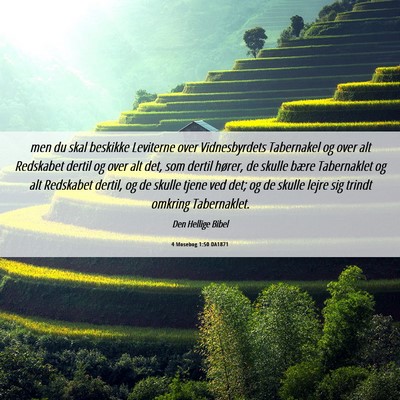 Picture 06 - 4 Mosebog 1:50 DA1871 - men du skal beskikke Leviterne over Vidnesbyrdets - Bible Verse Picture