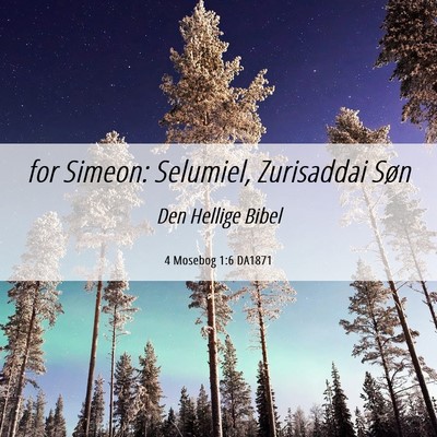 Picture 06 - 4 Mosebog 1:6 DA1871 - for Simeon: Selumiel, Zurisaddai - Bible Verse Picture
