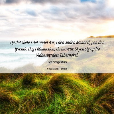 Picture 06 - 4 Mosebog 10:11 DA1871 - Og det skete i det andet Aar, i den anden Maaned, - Bible Verse Picture