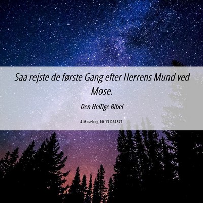 Picture 06 - 4 Mosebog 10:13 DA1871 - Saa rejste de første Gang efter Herrens Mund ved - Bible Verse Picture