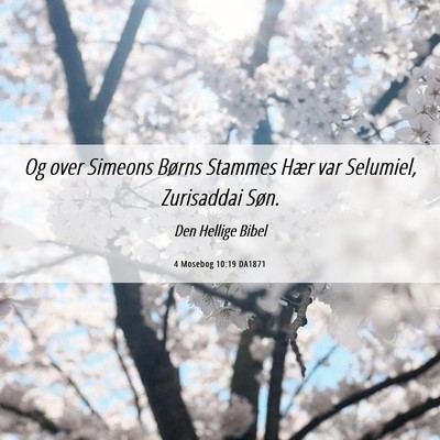 Picture 06 - 4 Mosebog 10:19 DA1871 - Og over Simeons Børns Stammes Hær var Selumiel, - Bible Verse Picture
