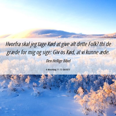 Picture 06 - 4 Mosebog 11:13 DA1871 - Hvorfra skal jeg tage Kød at give alt dette - Bible Verse Picture
