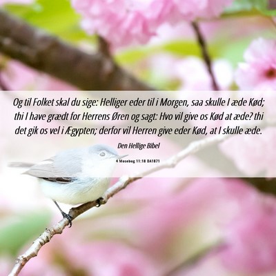 Picture 06 - 4 Mosebog 11:18 DA1871 - Og til Folket skal du sige: Helliger eder til i - Bible Verse Picture
