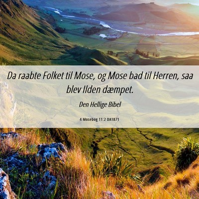 Picture 06 - 4 Mosebog 11:2 DA1871 - Da raabte Folket til Mose, og Mose bad til - Bible Verse Picture