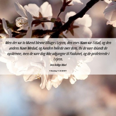 Picture 06 - 4 Mosebog 11:26 DA1871 - Men der var to Mænd blevne tilbage i Lejren, den - Bible Verse Picture