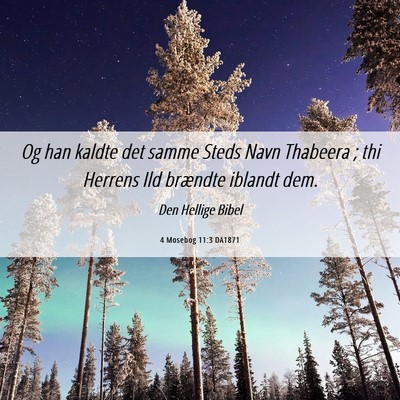 Picture 06 - 4 Mosebog 11:3 DA1871 - Og han kaldte det samme Steds Navn Thabeera ; thi - Bible Verse Picture