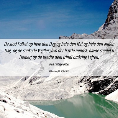 Picture 06 - 4 Mosebog 11:32 DA1871 - Da stod Folket op hele den Dag og hele den Nat og - Bible Verse Picture