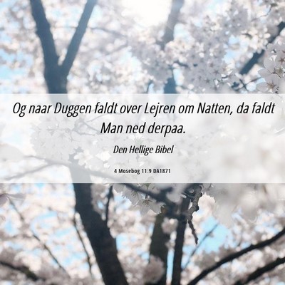 Picture 06 - 4 Mosebog 11:9 DA1871 - Og naar Duggen faldt over Lejren om Natten, da - Bible Verse Picture