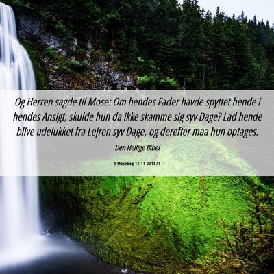 Picture 06 - 4 Mosebog 12:14 DA1871 - Og Herren sagde til Mose: Om hendes Fader havde - Bible Verse Picture